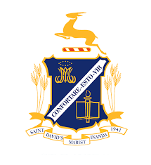 St David's Basketball