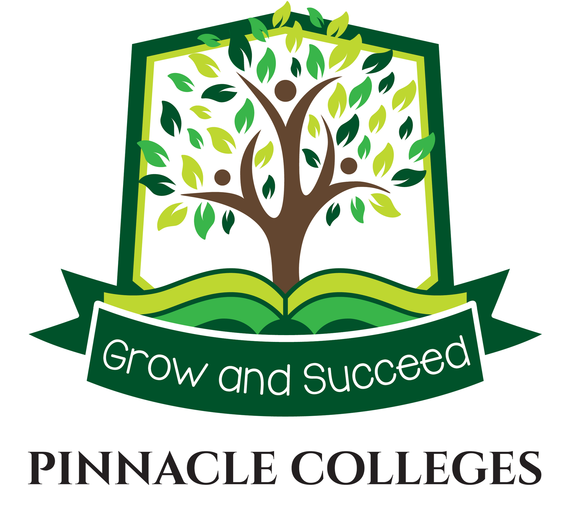 Pinnacle College u12